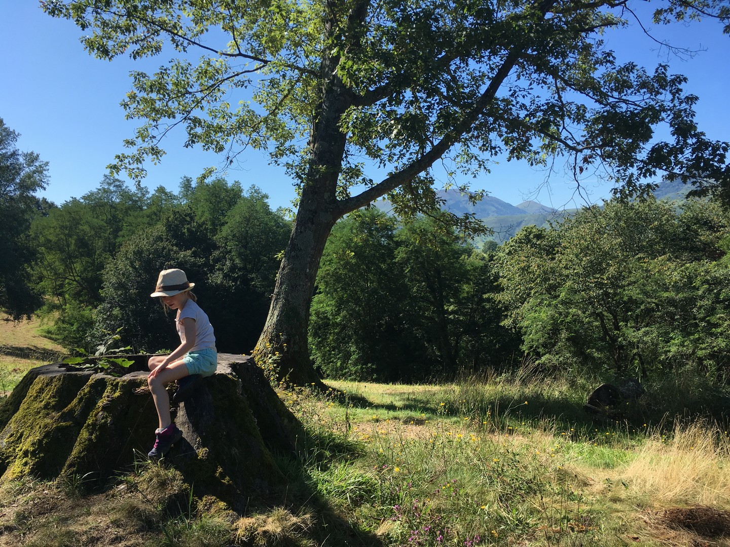 Colline de la Bergerie