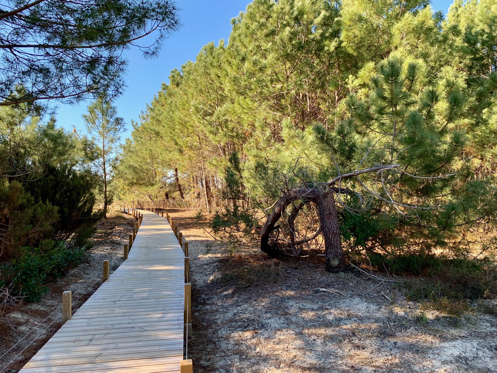 Sentier d'interprétation du vivier